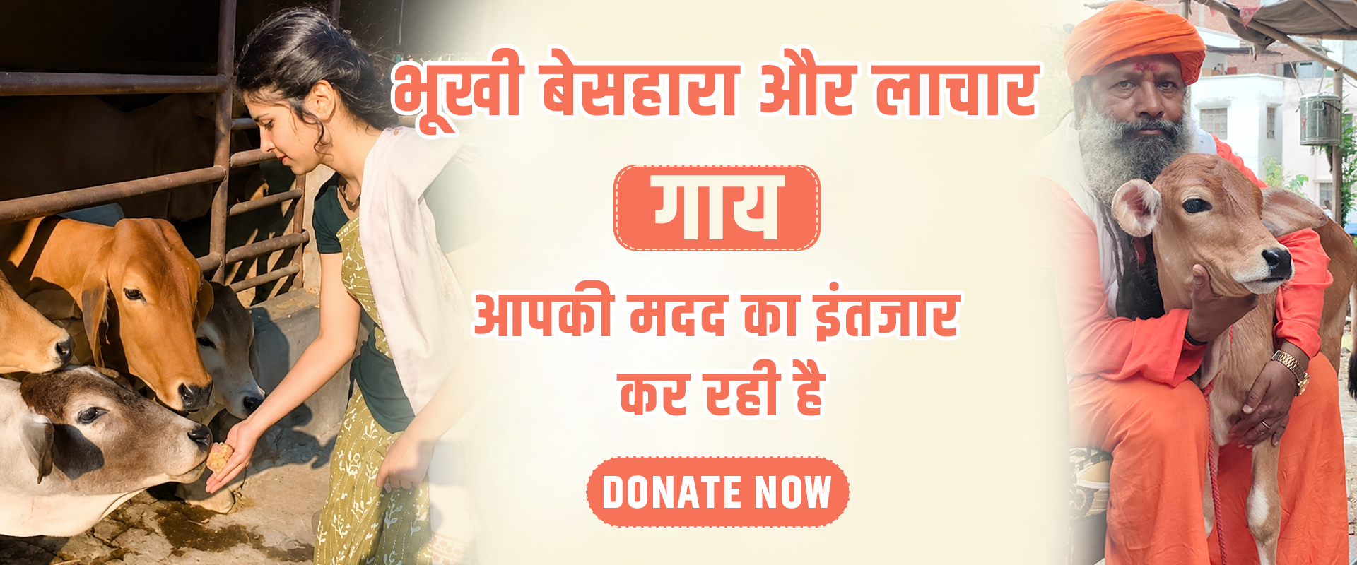 pritam banner cow banner (1)