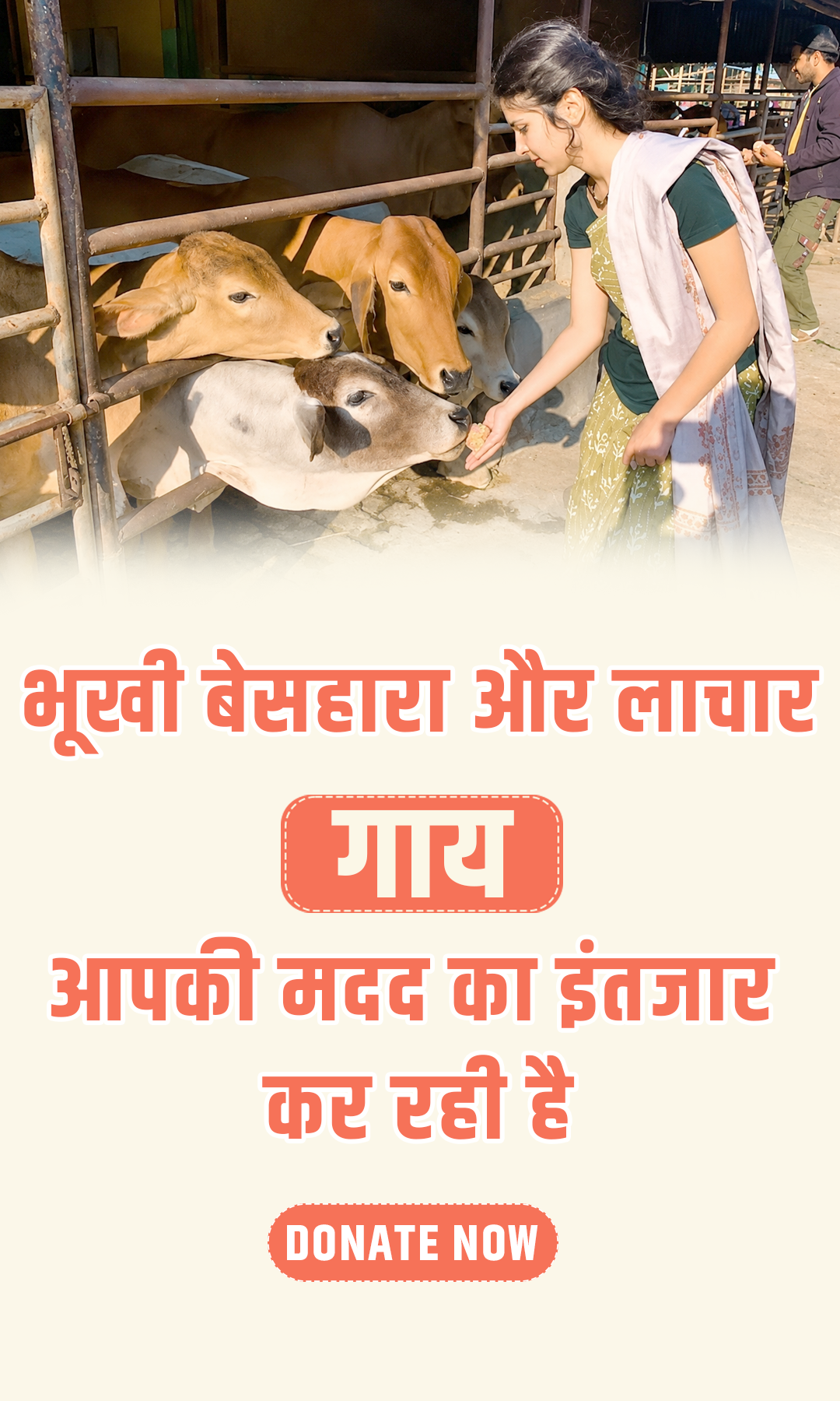 pritam banner cow banner mobile view